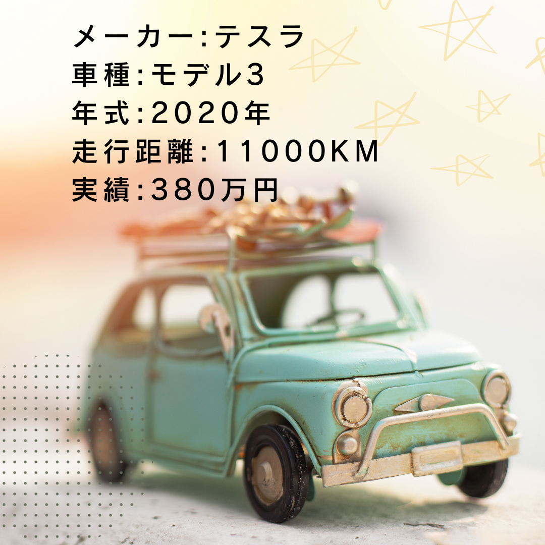 実績・査定例:モデル3/2020年式/11000KM